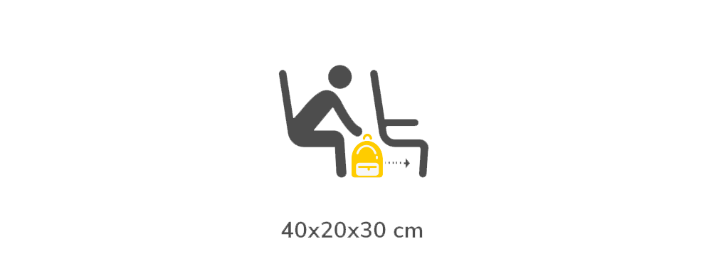 Vueling cabin cheap baggage strict