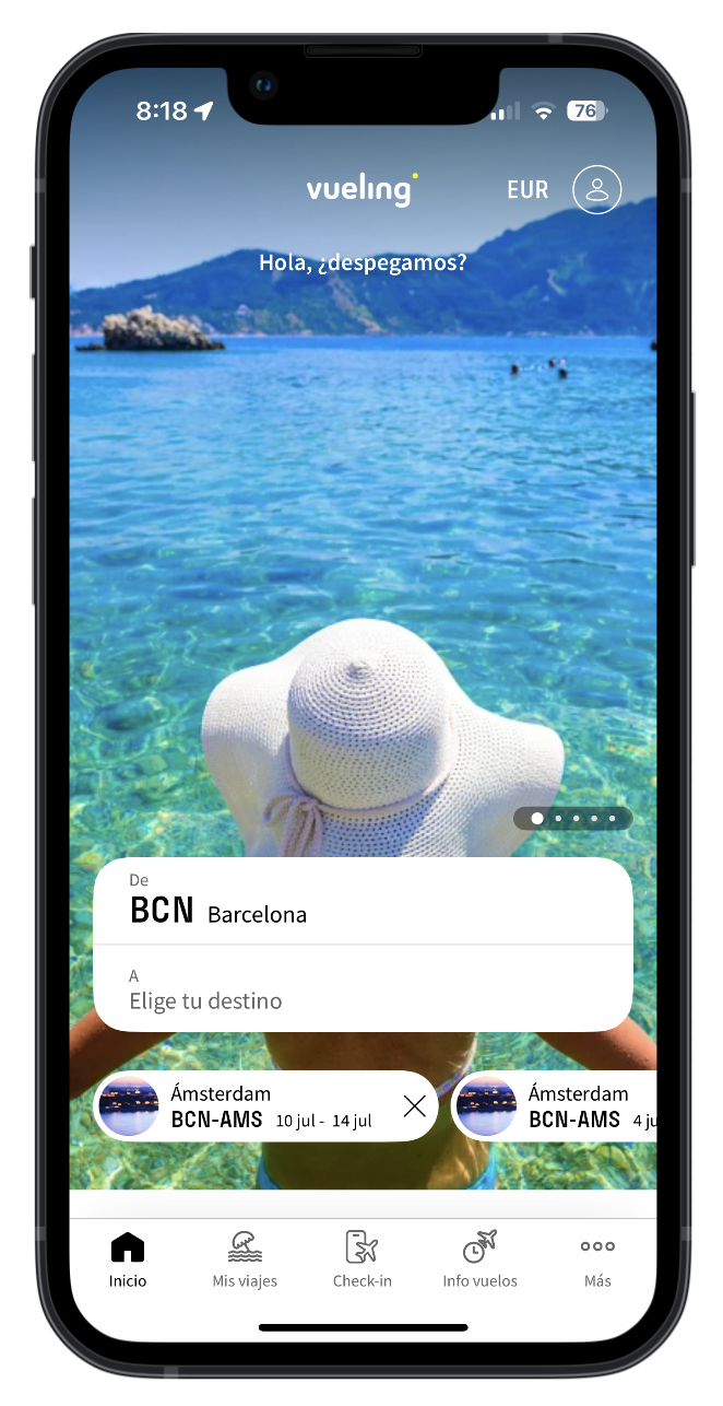 TheVuelingApp.png